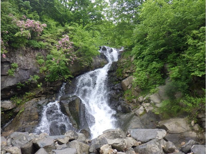 【東北・山形県】西川町・月山湖レイクSUP（サップ）体験☆日本一の大噴水を水面から眺めよう！装備レンタル込み、写真データ無料！の紹介画像