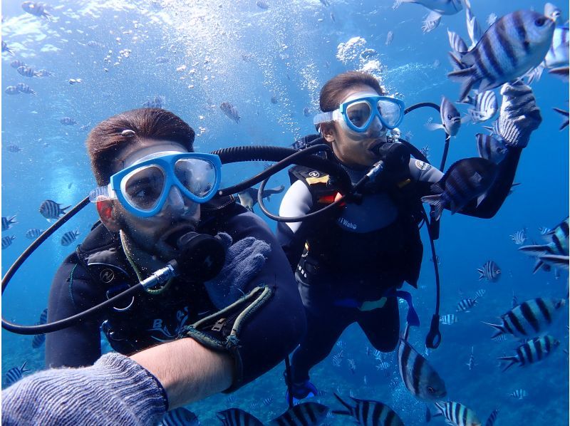 マリンクラブバスロの割引プラン