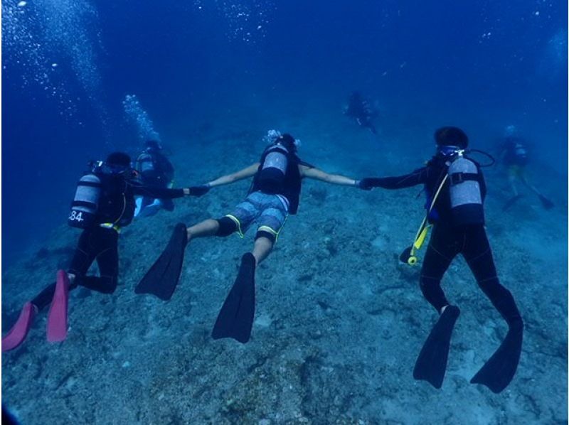 [Okinawa, Ishigaki Island] Underwater view ☆ Fun 2 Diving (license required) "Manta Rays and Sea Turtles" Lunch included ★ Equipment included! Free pick-up and drop-off! MF②の紹介画像