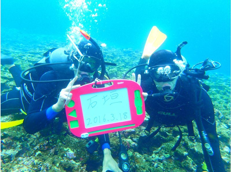 [Okinawa, Ishigaki Island] Underwater view ☆ Fun 2 Diving (license required) "Manta Rays and Sea Turtles" Lunch included ★ Equipment included! Free pick-up and drop-off! MF②の紹介画像