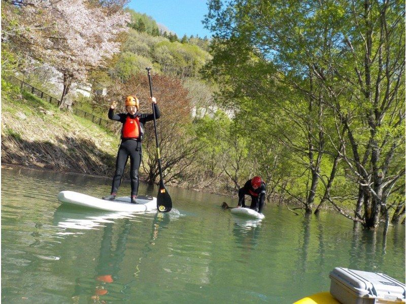 SUP tour [Gunma/Minakami] Would you like to enjoy a SUP tour at Lake Minakami? Activities that children can tryの紹介画像
