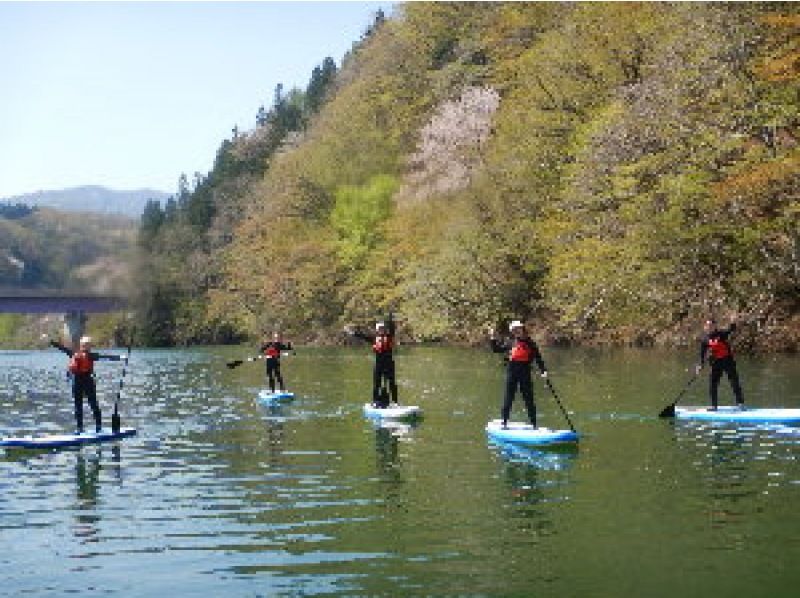 SUP tour [Gunma/Minakami] Would you like to enjoy a SUP tour at Lake Minakami? Activities that children can tryの紹介画像