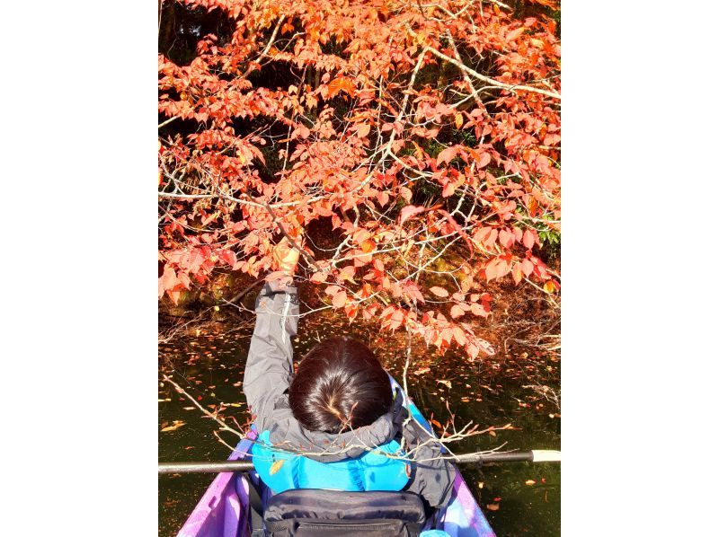 【大分×カヤック×紅葉】カヤックに乗ってダム湖畔の紅葉を楽しもう♪の紹介画像