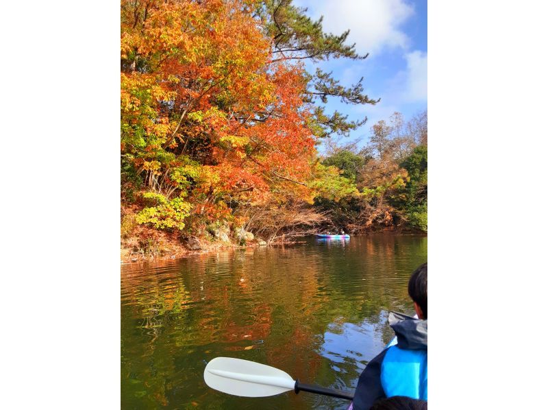 【大分×カヤック×紅葉】カヤックに乗ってダム湖畔の紅葉を楽しもう♪の紹介画像