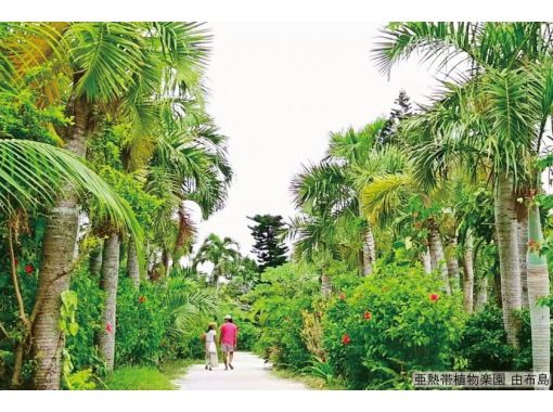 【1番人気の3島めぐり】西表・由布・竹富3島めぐり 竹富島でフリーウォーク<7時間~/昼食付/R-2W> 【1番人気の3島めぐり】西表・由布・竹富3島めぐり 竹富島でフリーウォーク<7時間~/昼食付/R-2W>