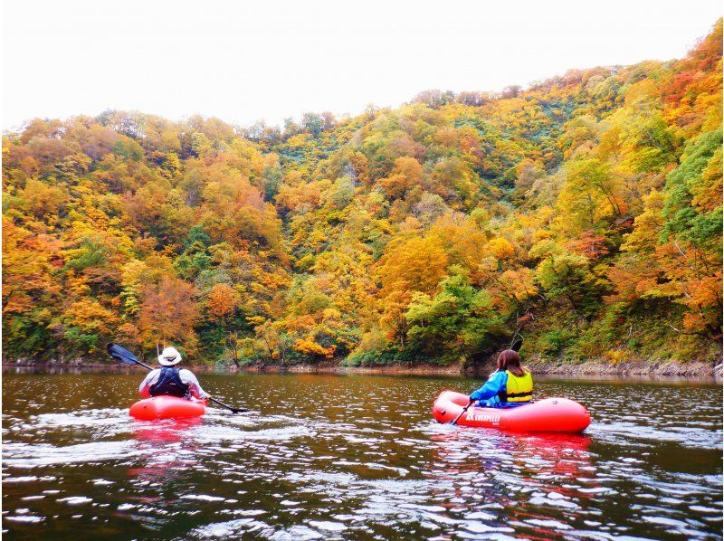 【東北・山形】鶴岡市・秘境・荒沢湖・１０月限定秋のレイクパックラフト・遠足ツアー・写真データ無料！下旬には見事な紅葉の紹介画像