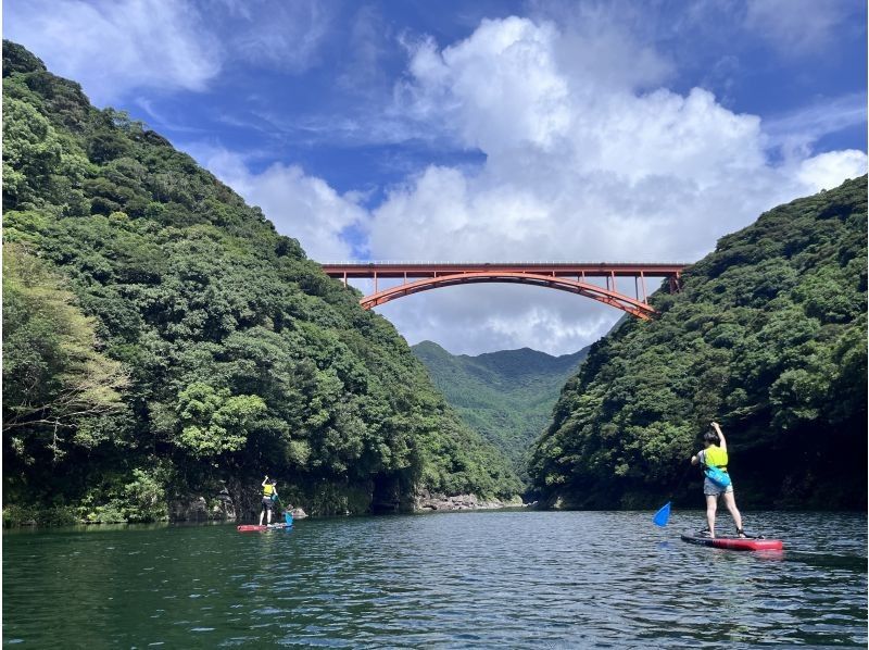 [Private charter & transportation included] Anbo River SUP Stand up paddle boat on the Anbo River, one of the largest rivers in Yakushimaの紹介画像