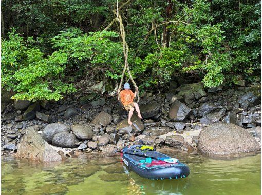 patagonia - スタンドアップパドルボード ※鹿児島県(離島不可)は送料込み価格 Amazon | 湘南三浦半島発 スタンドアップパドルボード SUP