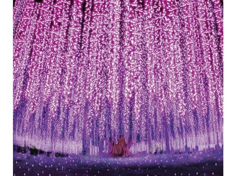 Ashikaga Flower Park discount tickets and tickets are now on sale!