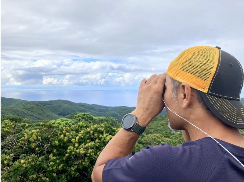 [Amami Oshima] Half-day tour of the World Heritage sites of Yuwandake and Materia Falls!