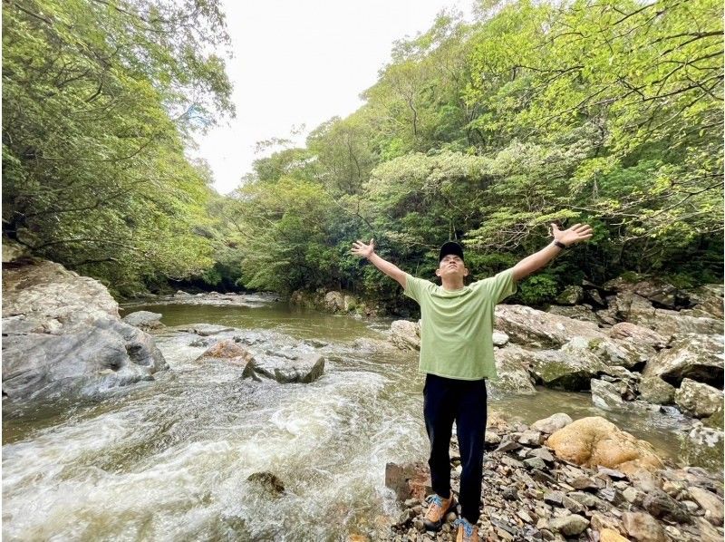 [Amami Oshima] Half-day tour of the World Heritage sites of Yuwandake and Materia Falls!