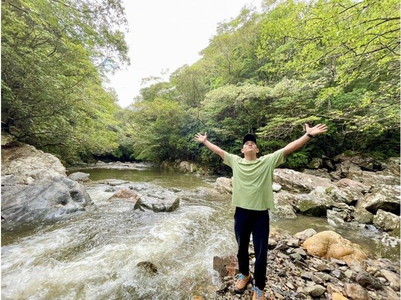 [Amami Oshima] A treasure trove of biodiversity! Half-day tour of World Heritage Site Yuwandake and Materia Falls! Family charter information! Guided by a certified guideの紹介画像