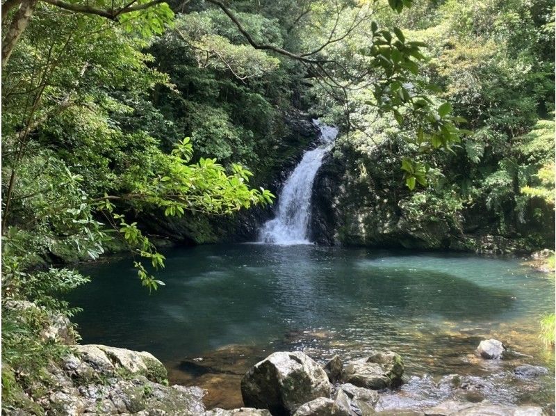 [Amami Oshima] Half-day tour of the World Heritage sites of Yuwandake and Materia Falls!