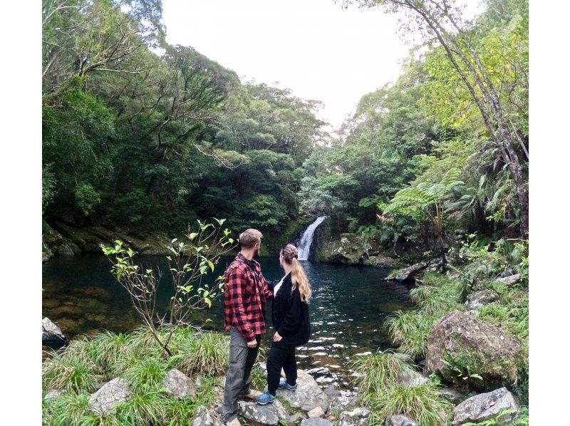 [Amami Oshima] Half-day tour of the World Heritage sites of Yuwandake and Materia Falls!