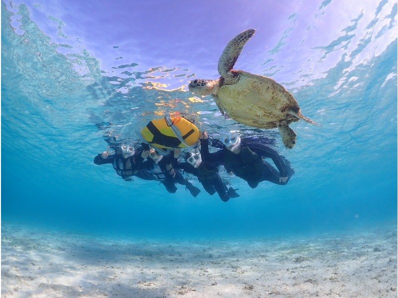 [Miyakojima, 2 hours] Close-up snorkeling with sea turtles | Showers and changing spaces available | Photos and videos will be given to you on the same day | Full refund guaranteeの紹介画像