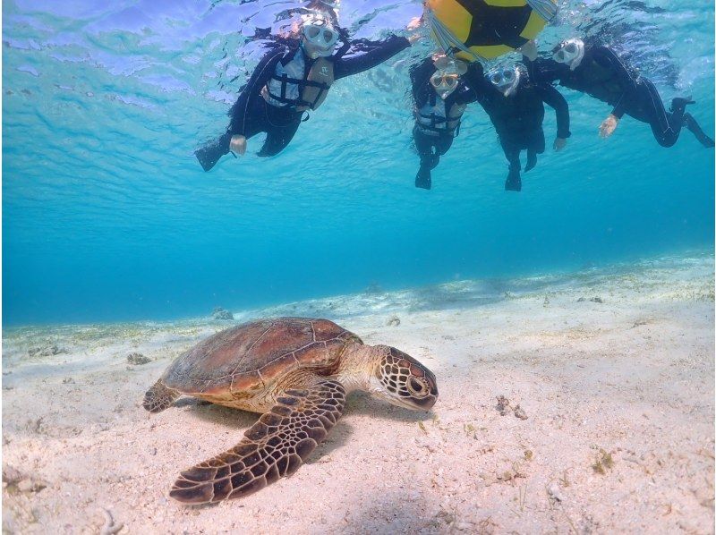 [Miyakojima, 2 hours] Close-up snorkeling with sea turtles | Showers and changing spaces available | Photos and videos will be given to you on the same day | Full refund guaranteeの紹介画像