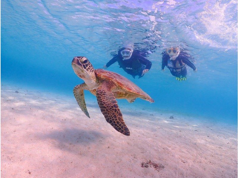 [Miyakojima, 2 hours] Close-up snorkeling with sea turtles | Showers and changing spaces available | Photos and videos will be given to you on the same day | Full refund guaranteeの紹介画像