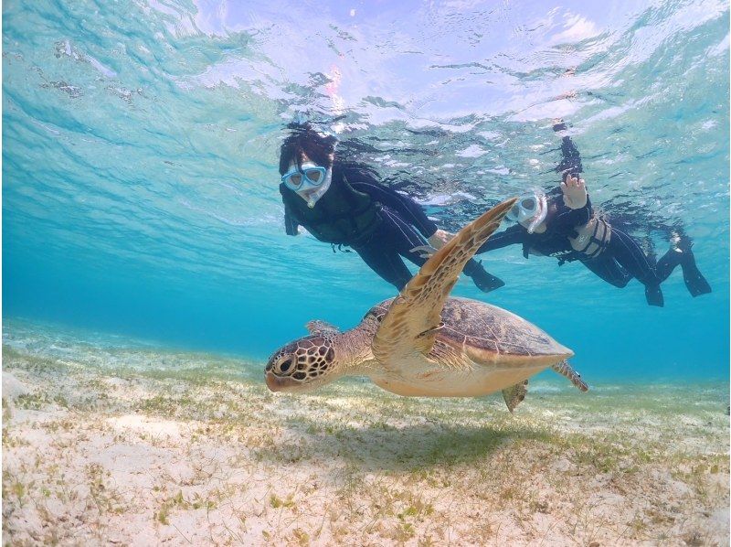 [Miyakojima, 2 hours] Close-up snorkeling with sea turtles | Showers and changing spaces available | Photos and videos will be given to you on the same day | Full refund guaranteeの紹介画像