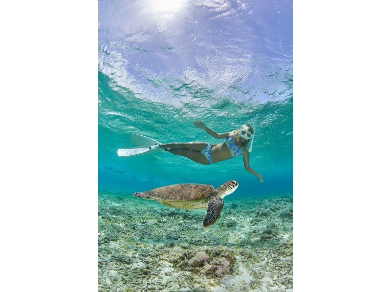 [Miyakojima, 2 hours] Close-up snorkeling with sea turtles | Showers and changing spaces available | Photos and videos will be given to you on the same day | Full refund guaranteeの紹介画像