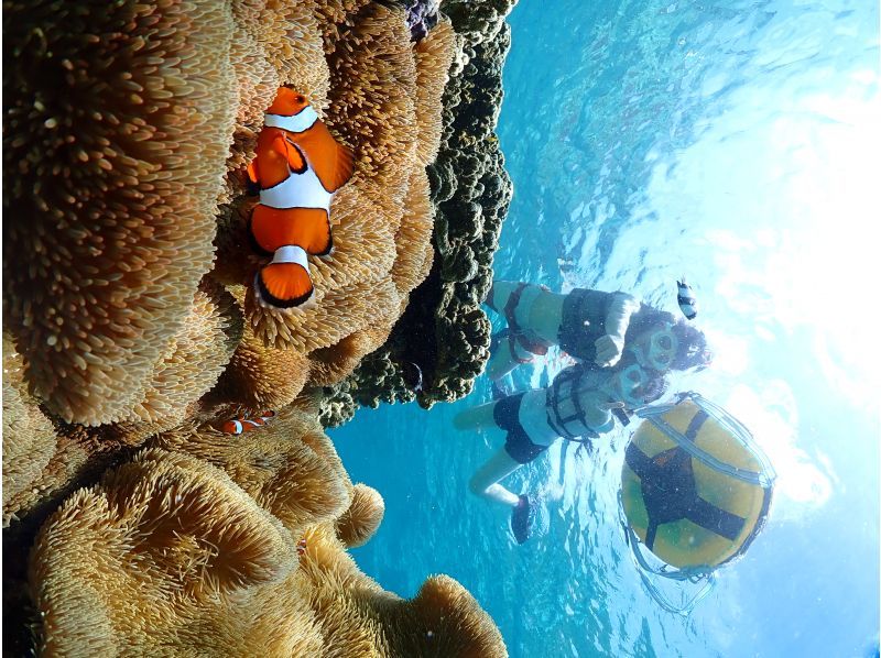[Miyakojima, 2 hours] Close-up snorkeling with sea turtles | Showers and changing spaces available | Photos and videos will be given to you on the same day | Full refund guaranteeの紹介画像