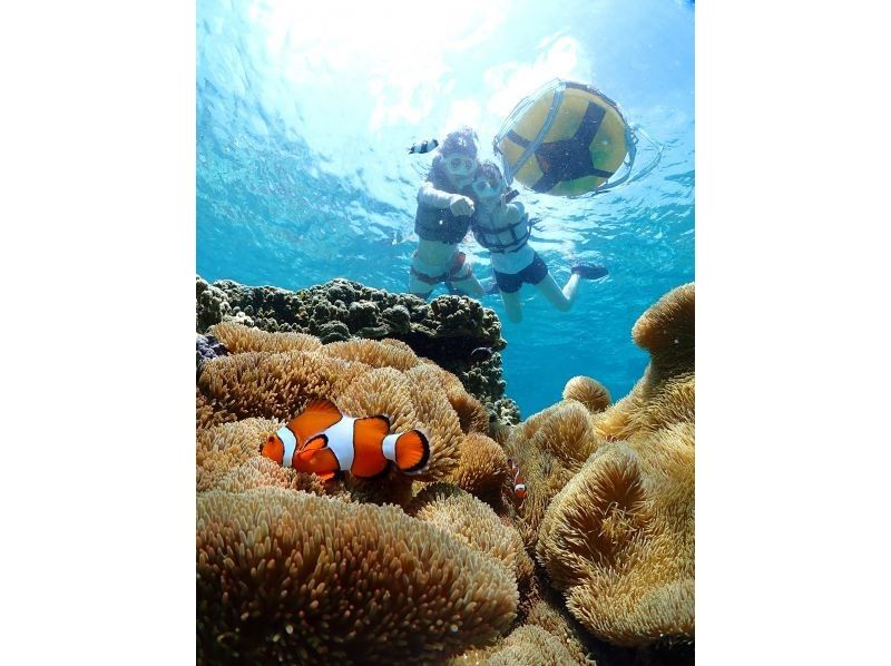 [Miyakojima, 2 hours] Close-up snorkeling with sea turtles | Showers and changing spaces available | Photos and videos will be given to you on the same day | Full refund guaranteeの紹介画像