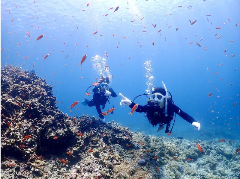 【石垣島】体験ダイビング＆ウミガメシュノーケリングコースE【半日PM/GoProレンタル無料！】の紹介画像