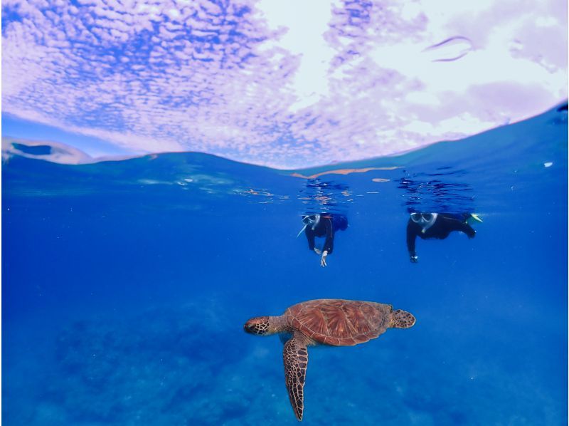 【石垣島】体験ダイビング＆ウミガメシュノーケリングコースE【半日PM/GoProレンタル無料！】の紹介画像