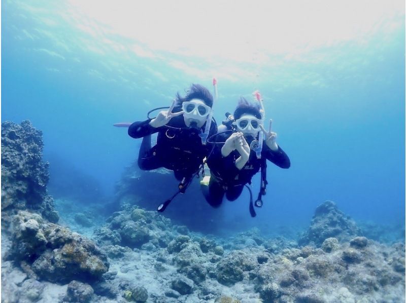 【石垣島】体験ダイビング＆ウミガメシュノーケリングコースE【半日PM/GoProレンタル無料！】の紹介画像