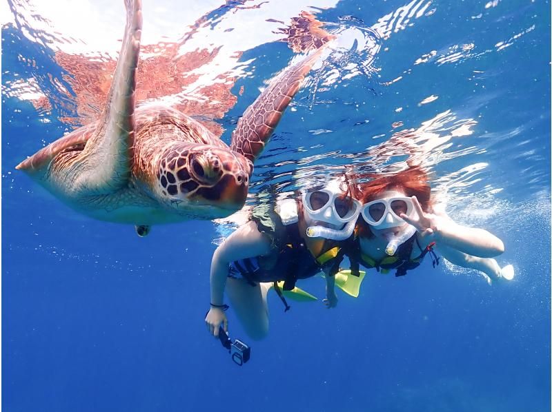 【石垣島】船で行く♪ウミガメシュノーケリングコースF《GoProレンタル無料！》【半日コース/PM】の紹介画像