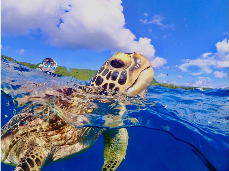 【石垣島】船で行く♪ウミガメシュノーケリングコースF《GoProレンタル無料！》【半日コース/PM】の紹介画像