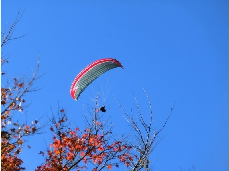 For inbound tourists [Kyoto/Kameoka] Paragliding experience "Challenge (90 minutes) + 470m tandem course" Free transportation available!の紹介画像