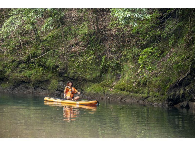 ～A hidden place that can only be reached by SUP! Monobe River Jungle Cruise～ [A completely private cruise for one group only!]の紹介画像