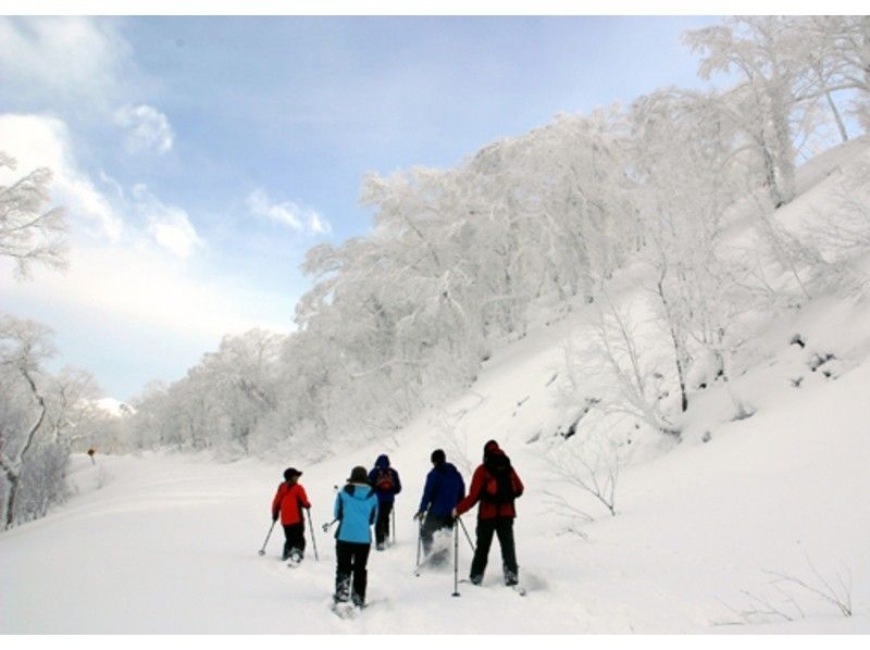 Snowshoe (snow trekking)