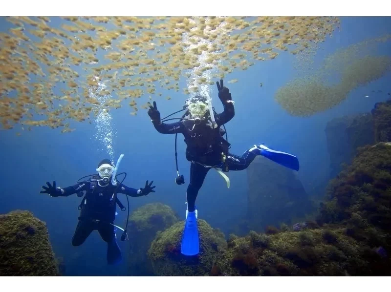 ダイビングライセンス取得【埼玉/2日間~】体験ダイビング経験者向け（未経験者も受講可能）学割・グループ割りありの紹介画像