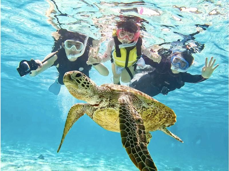 【宮古島/貸切り】チャーターウミガメシュノーケリング！ウミガメ遭遇率99%！【備品貸出＆写真無料！】の紹介画像