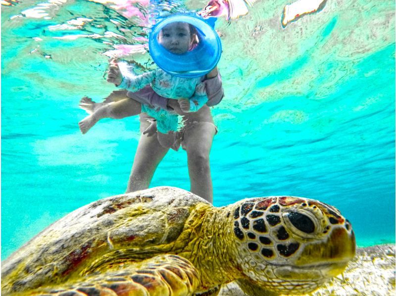 [Miyakojima/Private] Charter sea turtle snorkeling! Sea turtle encounter rate continues to be 100%! [Equipment rental & free photos!] Super Summer Sale 2024の紹介画像
