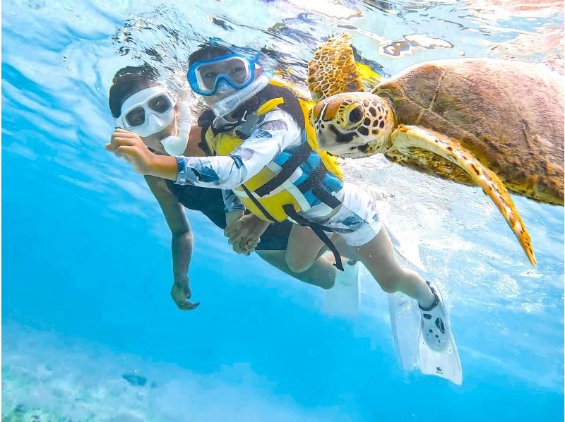 [Miyakojima/Private] Charter sea turtle snorkeling! Sea turtle encounter rate continues to be 100%! [Equipment rental & free photos!]の紹介画像