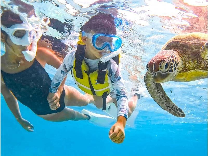 [Miyakojima/Private] Charter sea turtle snorkeling! Sea turtle encounter rate continues to be 100%! [Equipment rental & free photos!]の紹介画像