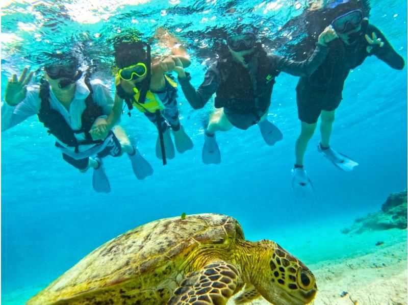 [Miyakojima/Private] Charter sea turtle snorkeling! Sea turtle encounter rate continues to be 100%! [Equipment rental & free photos!]の紹介画像