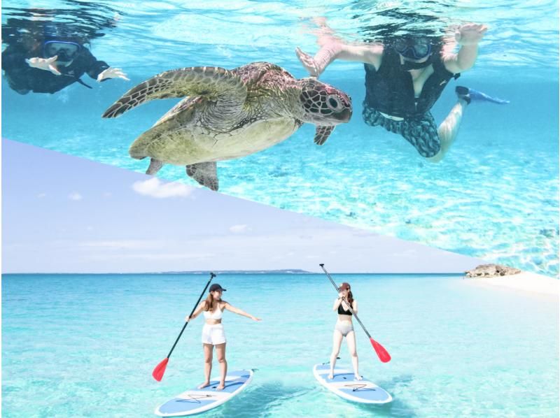 SALE! [Miyakojima/Half-day] Two activities in half a day! SUP & Sea Turtle Snorkeling! [Equipment/photos free]の紹介画像