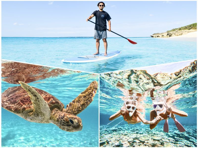 [Miyakojima/Half-day] 2 activities in half a day! SUP & Sea Turtle Snorkeling! Free equipment/photos