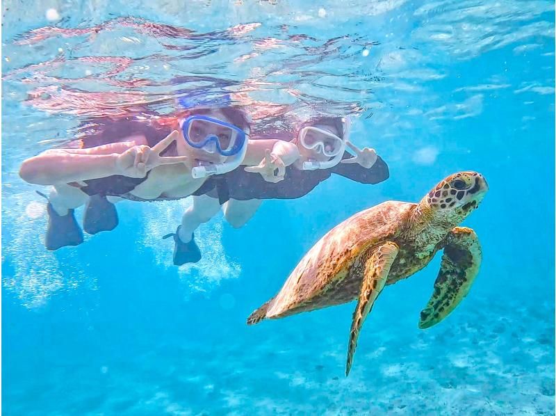 [Miyakojima/half day] Two activities in half day! SUP & sea turtle snorkeling! [Equipment/photo free]の紹介画像