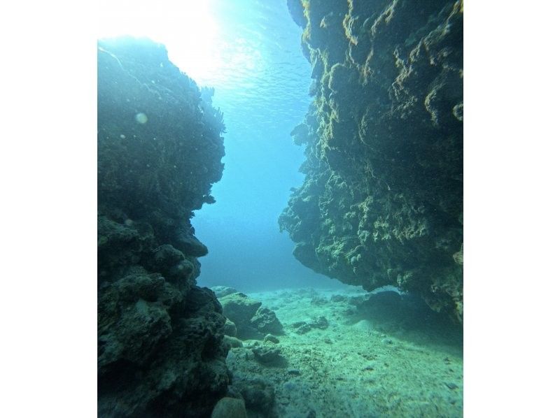 [Okinawa Motobu Town] "Gorilla Chop" Experience Diving 