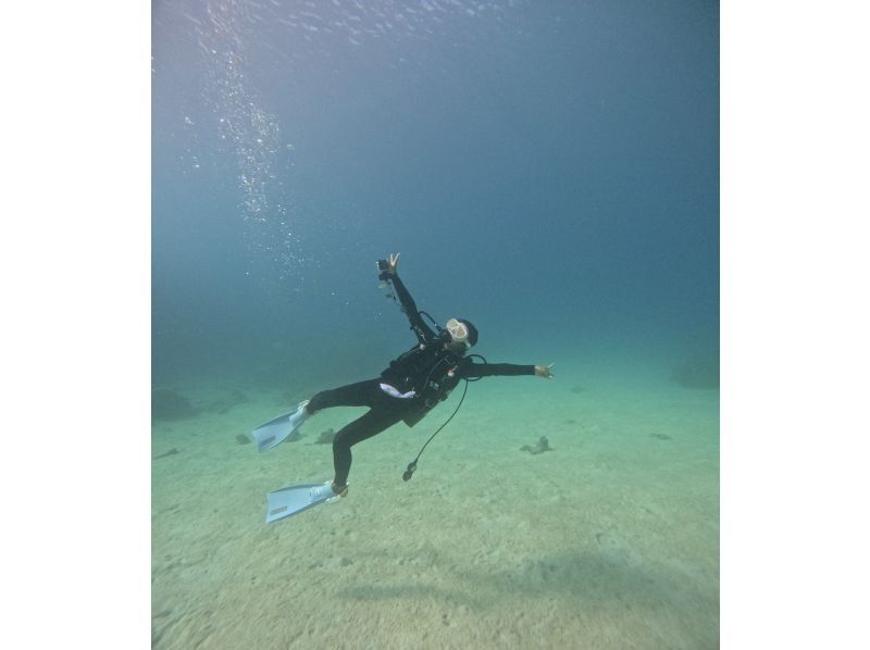 [Okinawa Motobu Town] "Gorilla Chop" Experience Diving 