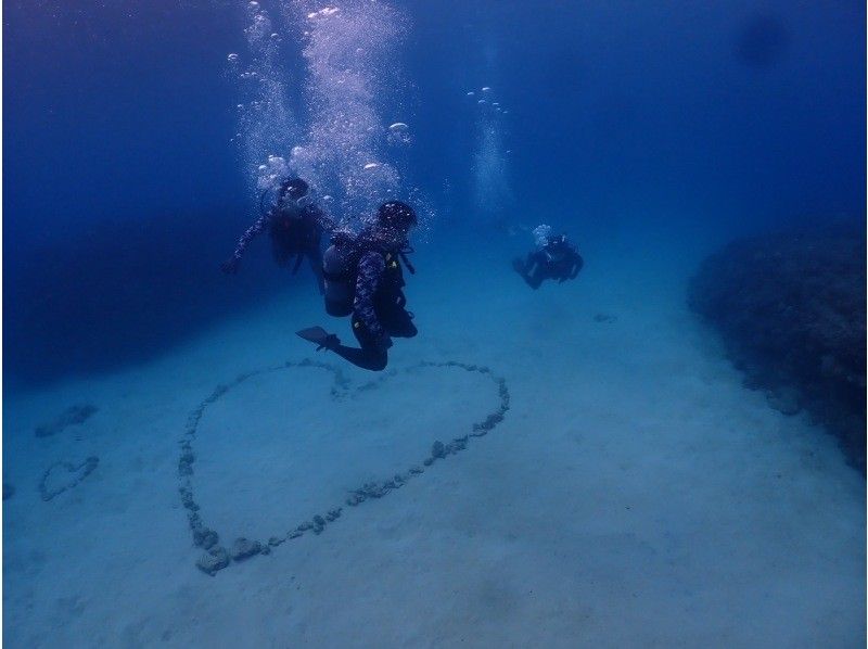 【本部町ゴリラチョップ】沖縄でダイビング体験！貸切で行く海中ツアー！海底に広がる白い砂とカラフルな珊瑚礁、そこに住む沢山の魚たちが見どころ☆の紹介画像