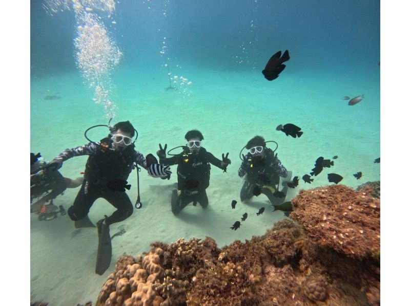 [Okinawa Motobu Town] "Gorilla Chop" Experience Diving 