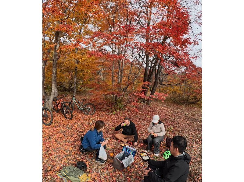【群馬・みなかみ】[昼食付き]ガイド付き電動自転車アドベンチャー, 4～5時間, 終日プランの紹介画像