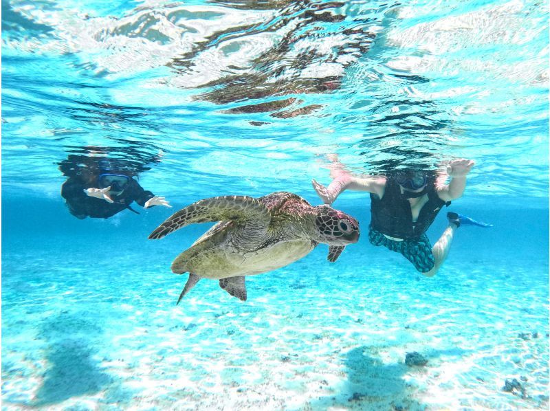[Miyakojima/1 day] SUP & sea turtle snorkeling! Enjoy all the activities that are becoming popular in one day! [Equipment/photo free]の紹介画像