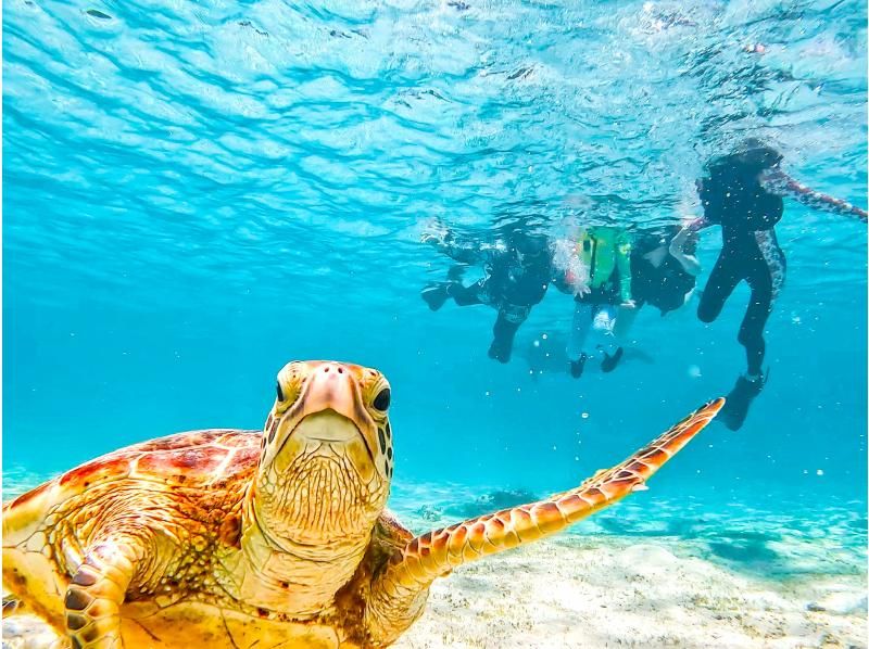 [Miyakojima/1 day] SUP & sea turtle snorkeling! Enjoy these increasingly popular activities in one day! [Free photos]の紹介画像