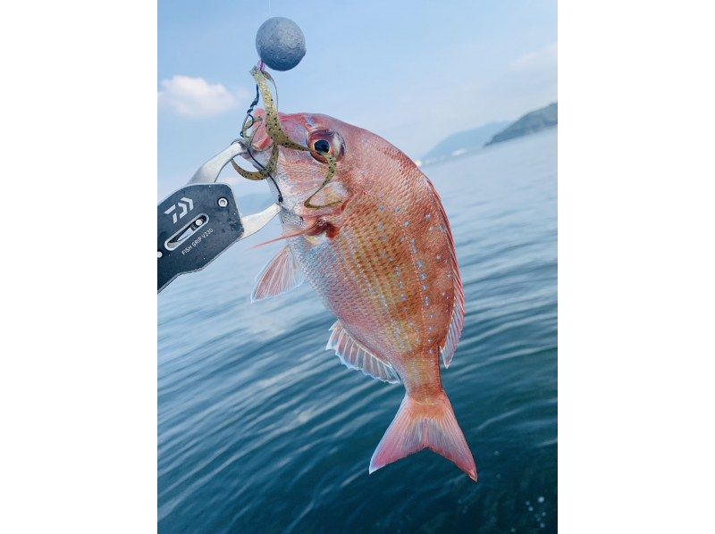 【香川・坂出】初心者の方でもご安心！！エンジョイフィッシングツアーの紹介画像